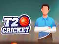 Igra T20 Cricket