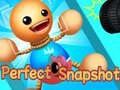 Igra Perfect Snapshot