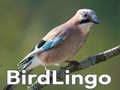 Igra BirdLingo