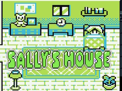 Igra Sally's House