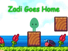 Igra Zadi Goes Home