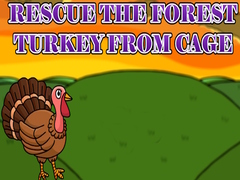 Igra Rescue the Forest Turkey from Cage