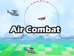 Igra Air combat