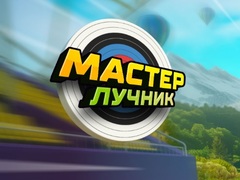 Igra Archery Master