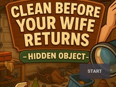 Igra Clean Before Your Wife Returns Hidden Object