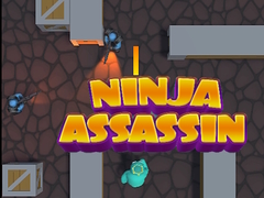 Igra Ninja Assassin
