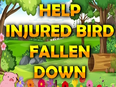 Igra Help Injured Bird Fallen Down