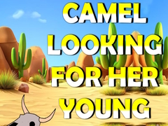 Igra Camel Looking For Her Young