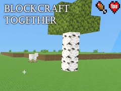 Igra BlockCraft Together