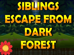 Igra Siblings Escape From Dark Forest