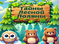 Igra Forest Glade Mysteries