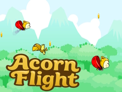 Igra Acorn Flight