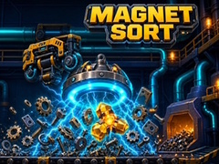 Igra Magnet Sort