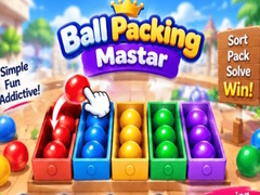 Igra Packing Master Puzzle