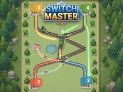 Igra Switch Master