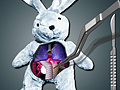 Igra Save The Bunny