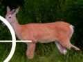 Igra Fawn hunter 3000