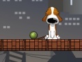 Igra Smart Dog