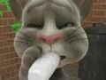 Igra Talking Tom Cat