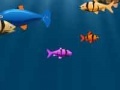 Igra Franky the fish