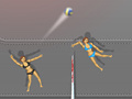Igra Ragdoll Volleyball