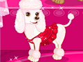 Igra Celebrity Dog