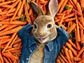 Peter Rabbit igre